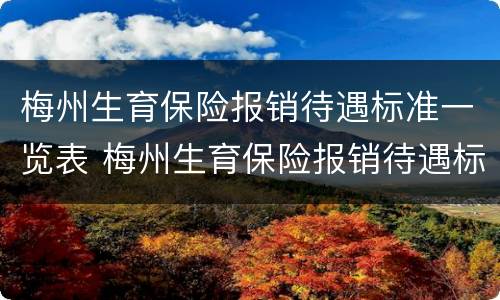 梅州生育保险报销待遇标准一览表 梅州生育保险报销待遇标准一览表查询
