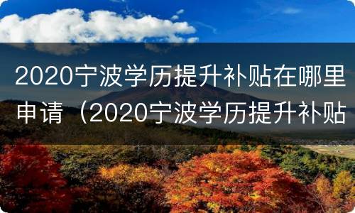 2020宁波学历提升补贴在哪里申请（2020宁波学历提升补贴在哪里申请呢）