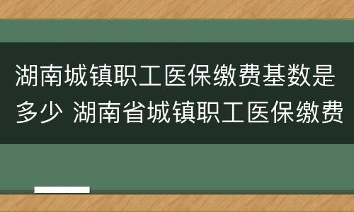 湖南城镇职工医保缴费基数是多少 湖南省城镇职工医保缴费比例