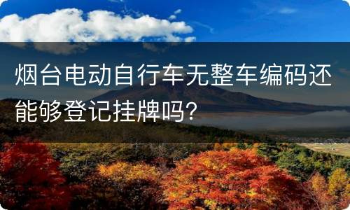烟台电动自行车无整车编码还能够登记挂牌吗？
