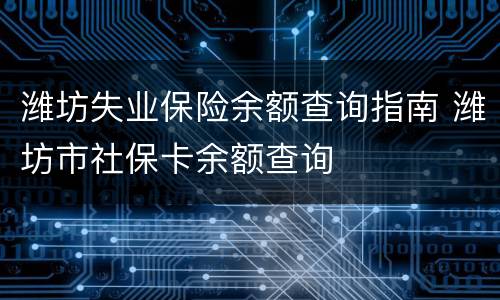 潍坊失业保险余额查询指南 潍坊市社保卡余额查询