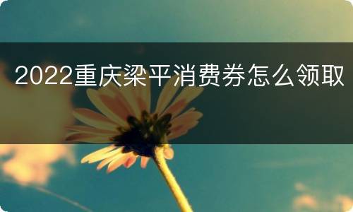 2022重庆梁平消费券怎么领取