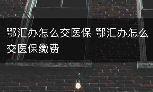 鄂汇办怎么交医保 鄂汇办怎么交医保缴费