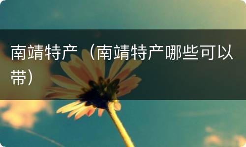 南靖特产（南靖特产哪些可以带）