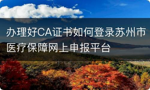 办理好CA证书如何登录苏州市医疗保障网上申报平台