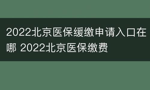 2022北京医保缓缴申请入口在哪 2022北京医保缴费
