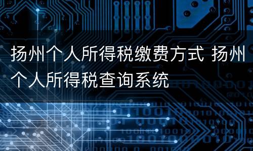 扬州个人所得税缴费方式 扬州个人所得税查询系统