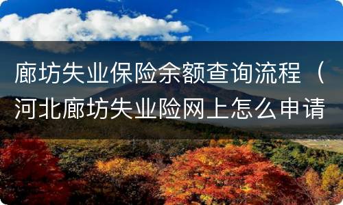 廊坊失业保险余额查询流程（河北廊坊失业险网上怎么申请）