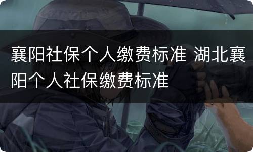 襄阳社保个人缴费标准 湖北襄阳个人社保缴费标准