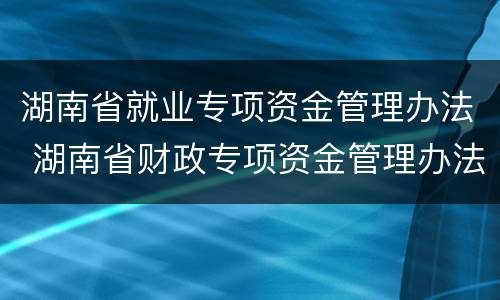 湖南省就业专项资金管理办法 湖南省财政专项资金管理办法