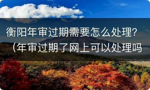 衡阳年审过期需要怎么处理？（年审过期了网上可以处理吗）