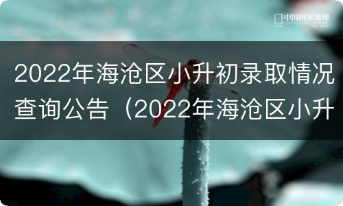 2022年海沧区小升初录取情况查询公告（2022年海沧区小升初录取情况查询公告及时间）