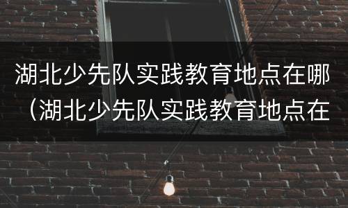 湖北少先队实践教育地点在哪（湖北少先队实践教育地点在哪儿）