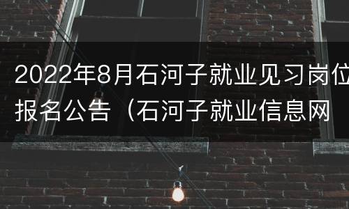 2022年8月石河子就业见习岗位报名公告（石河子就业信息网）