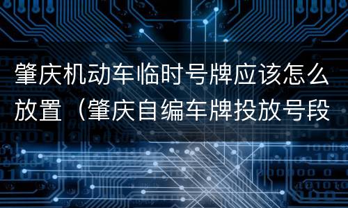 肇庆机动车临时号牌应该怎么放置（肇庆自编车牌投放号段）