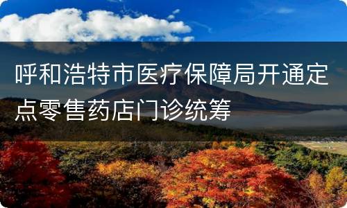 呼和浩特市医疗保障局开通定点零售药店门诊统筹