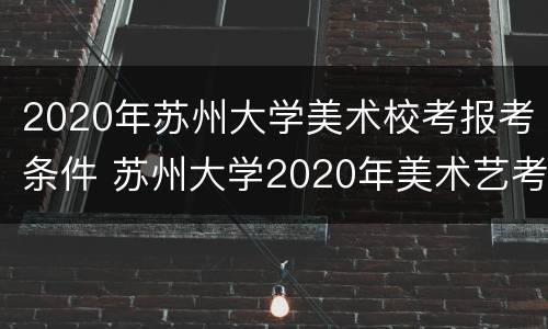 2020年苏州大学美术校考报考条件 苏州大学2020年美术艺考招生简章