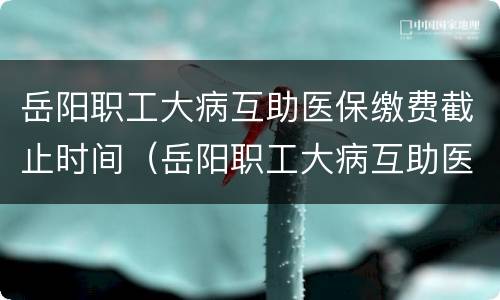 岳阳职工大病互助医保缴费截止时间（岳阳职工大病互助医保缴费截止时间表）