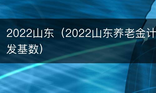 2022山东（2022山东养老金计发基数）