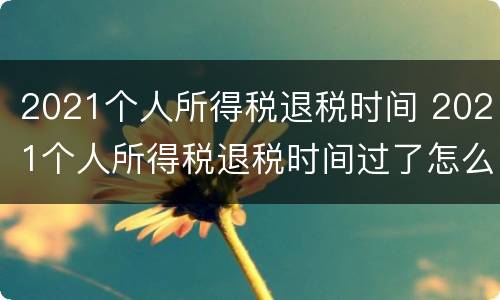 2021个人所得税退税时间 2021个人所得税退税时间过了怎么办