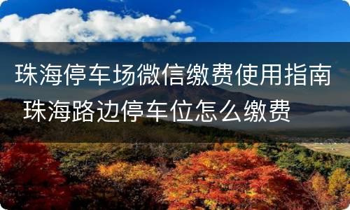 珠海停车场微信缴费使用指南 珠海路边停车位怎么缴费