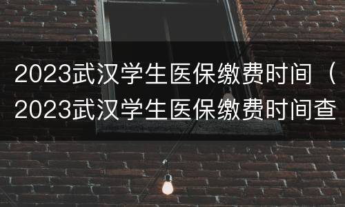 2023武汉学生医保缴费时间（2023武汉学生医保缴费时间查询）