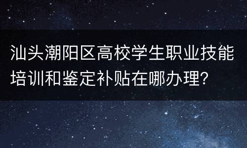 汕头潮阳区高校学生职业技能培训和鉴定补贴在哪办理？
