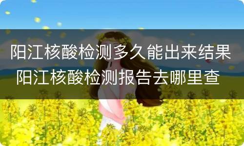 阳江核酸检测多久能出来结果 阳江核酸检测报告去哪里查