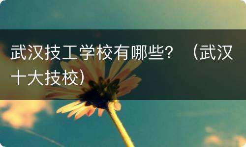武汉技工学校有哪些？（武汉十大技校）