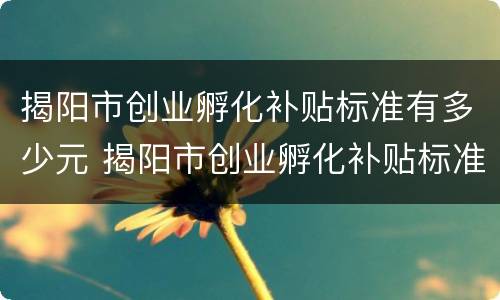 揭阳市创业孵化补贴标准有多少元 揭阳市创业孵化补贴标准有多少元钱