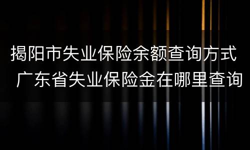 揭阳市失业保险余额查询方式 广东省失业保险金在哪里查询