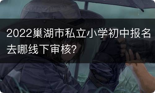 2022巢湖市私立小学初中报名去哪线下审核？