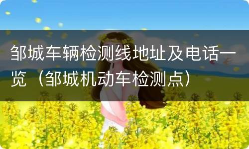 邹城车辆检测线地址及电话一览（邹城机动车检测点）