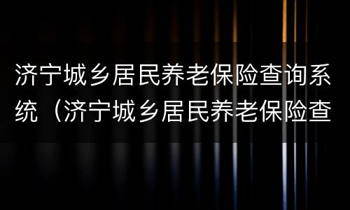 济宁城乡居民养老保险查询系统（济宁城乡居民养老保险查询系统电话）