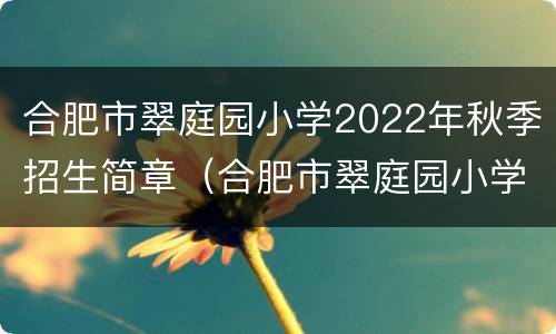 合肥市翠庭园小学2022年秋季招生简章（合肥市翠庭园小学2022年秋季招生简章视频）