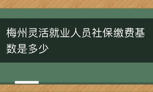 梅州灵活就业人员社保缴费基数是多少