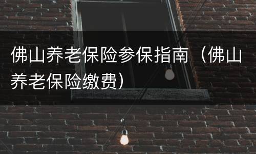 佛山养老保险参保指南（佛山养老保险缴费）