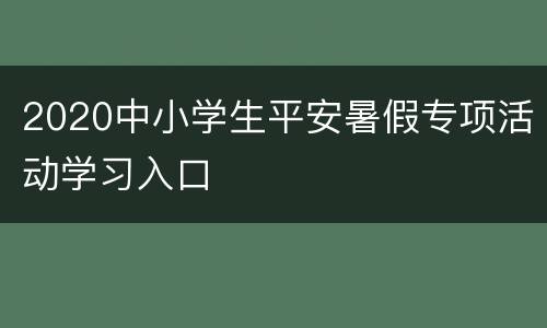 2020中小学生平安暑假专项活动学习入口