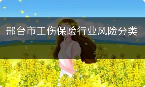 邢台市工伤保险行业风险分类