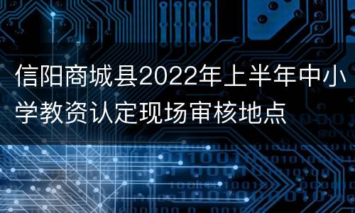 信阳商城县2022年上半年中小学教资认定现场审核地点