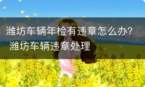潍坊车辆年检有违章怎么办？ 潍坊车辆违章处理