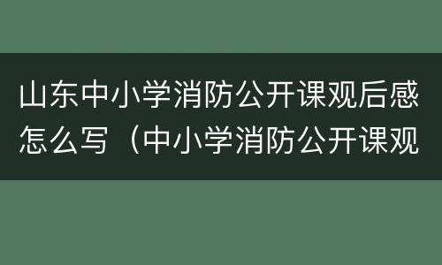 山东中小学消防公开课观后感怎么写（中小学消防公开课观看体会）