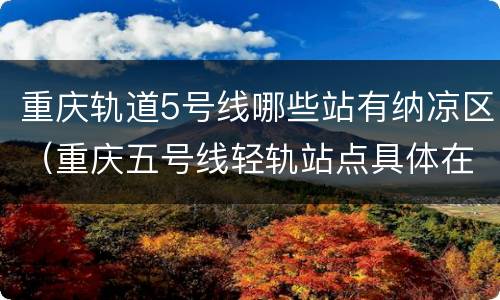 重庆轨道5号线哪些站有纳凉区（重庆五号线轻轨站点具体在哪些地方）
