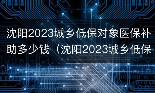 沈阳2023城乡低保对象医保补助多少钱（沈阳2023城乡低保对象医保补助多少钱啊）