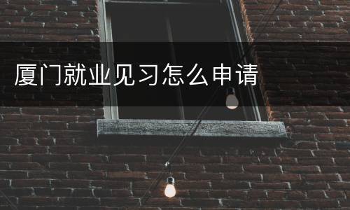 厦门就业见习怎么申请