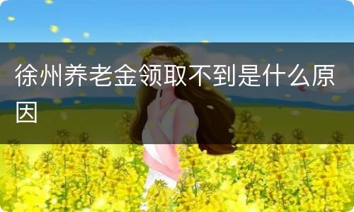 徐州养老金领取不到是什么原因
