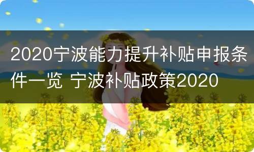2020宁波能力提升补贴申报条件一览 宁波补贴政策2020