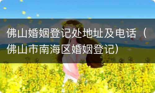 佛山婚姻登记处地址及电话（佛山市南海区婚姻登记）