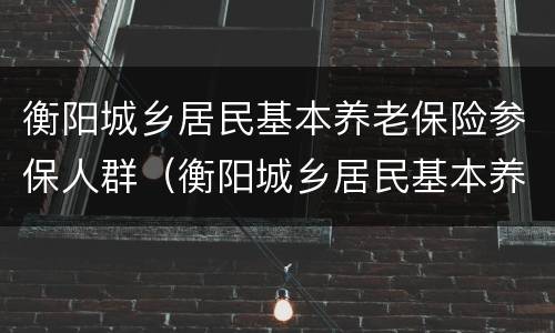 衡阳城乡居民基本养老保险参保人群（衡阳城乡居民基本养老保险参保人群有多少）