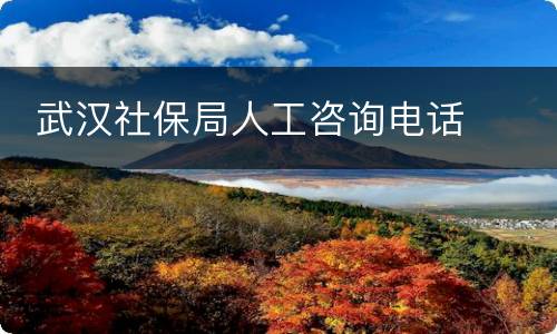  武汉社保局人工咨询电话
